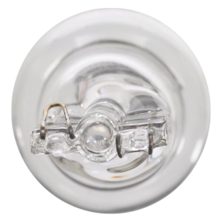 WAGNER LIGHTING BP921 Standard Multi-Purpose Light Bulb Card of 2