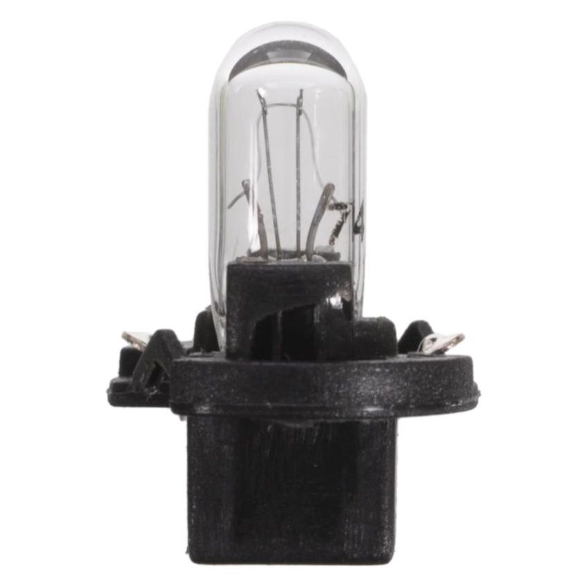 WAGNER LIGHTING BPPC74 Standard Multi-Purpose Light Bulb Card of 2