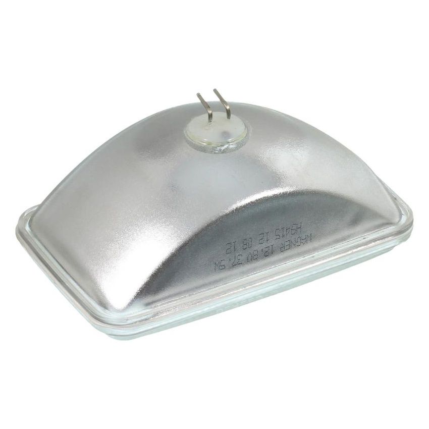 WAGNER LIGHTING H9415 Standard Multi-Purpose Light Bulb Box of 1