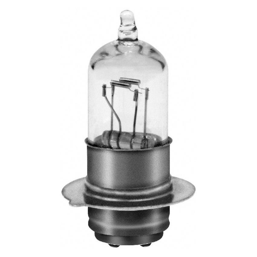 WAGNER LIGHTING HM201 Standard Multi-Purpose Light Bulb Box of 10