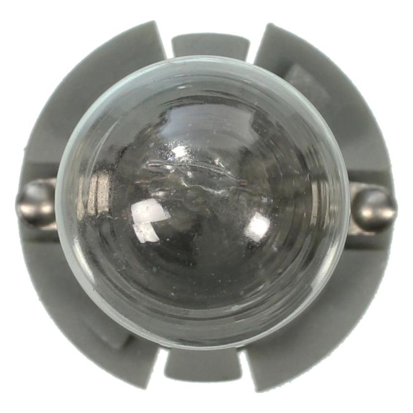 WAGNER LIGHTING PC579 Standard Multi-Purpose Light Bulb Box of 10