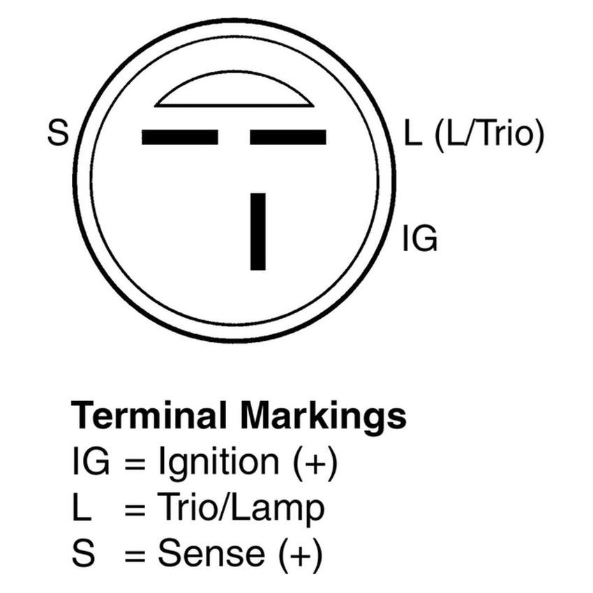 REMY ELECTRICAL 13227 Remanufactured Alternator