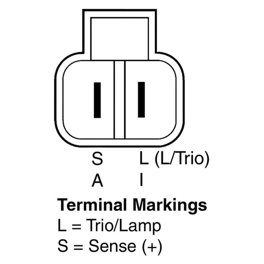 REMY ELECTRICAL 13389 Remanufactured Alternator