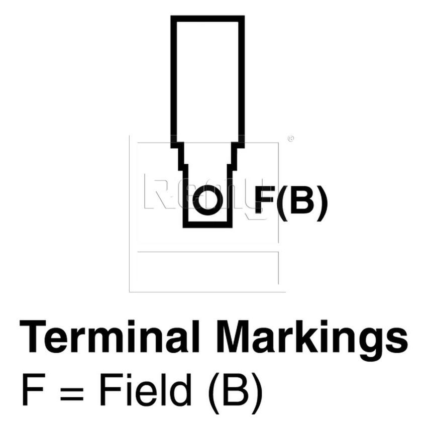 REMY ELECTRICAL 20657 Remanufactured Alternator