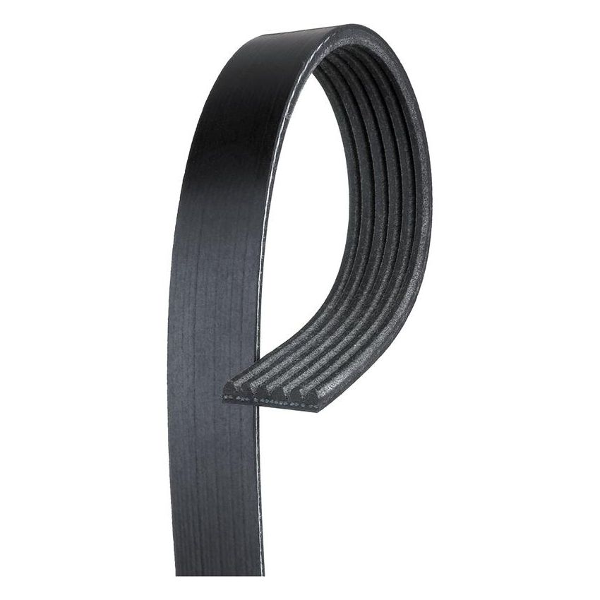 GATES 6K441AP Serpentine Drive Belt