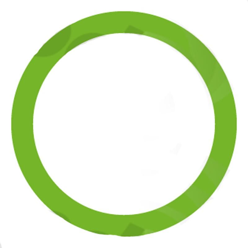 Global Parts Distributors LLC 1311387 gpd Oring/Gasket 1311387