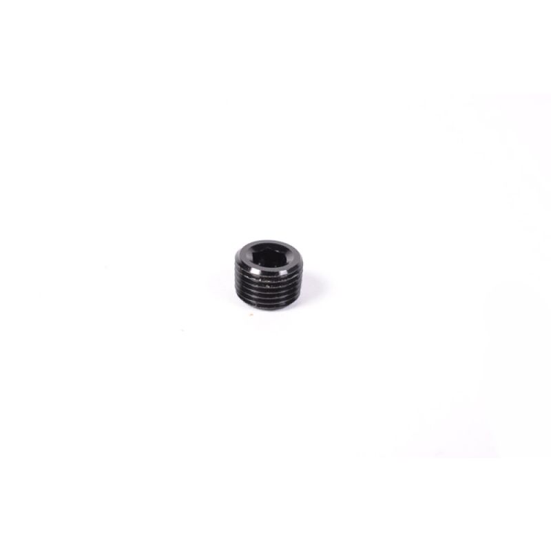 Radium Engineering 1/8in NPT Plug