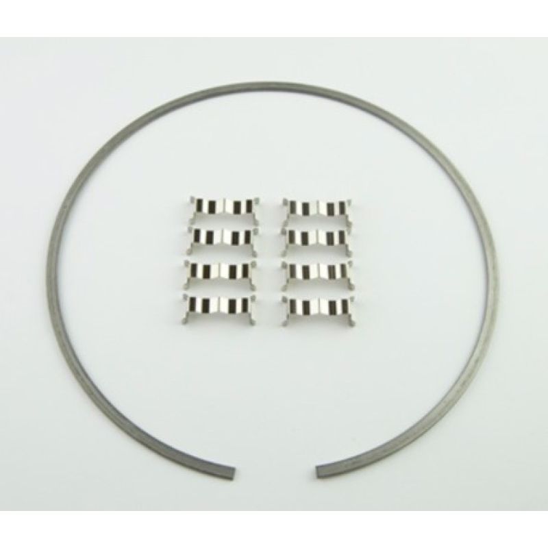 Wilwood 300-12561 Kit Snap Ring (1) and Wear Plates (8) Dynamic Drag Rotor