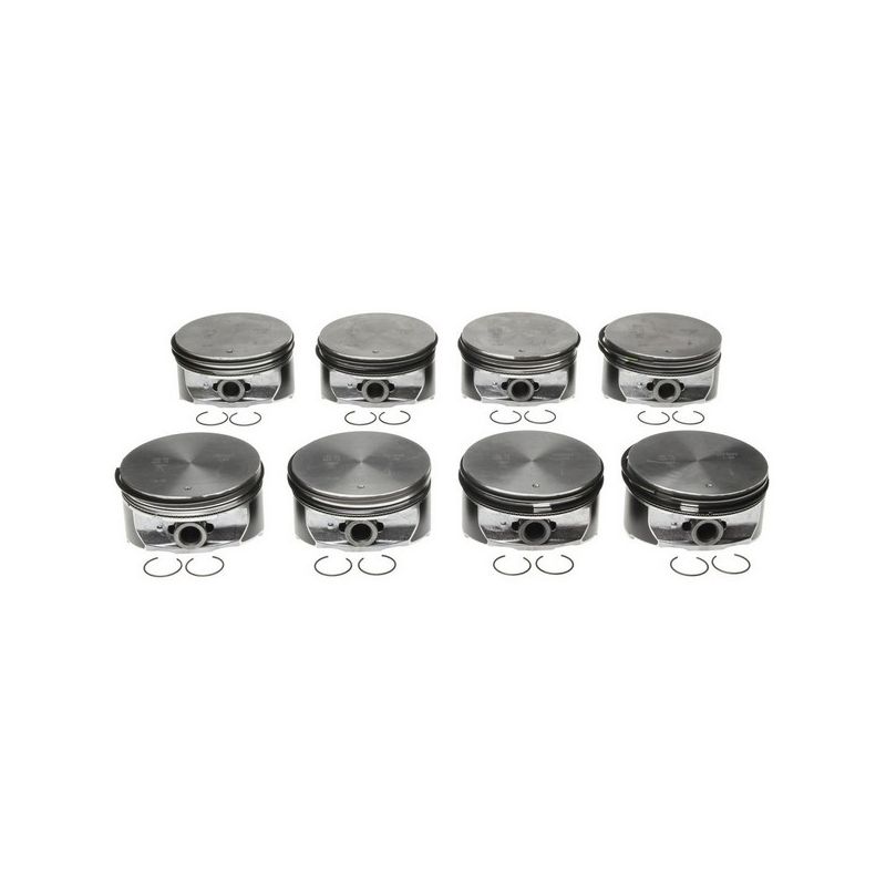 MAHLE 224-3665WR-1.00MM Engine Piston Set