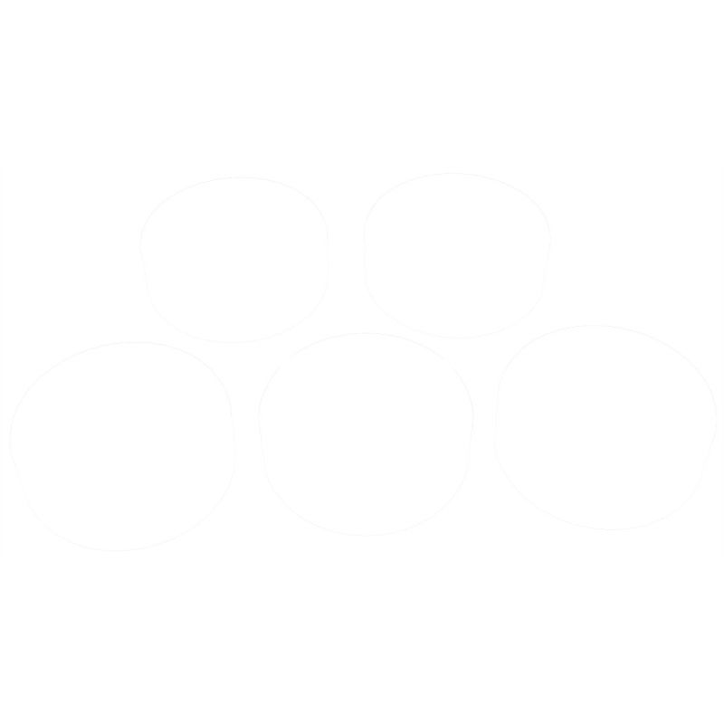 Clevite Chevrolet V8 4.8L-5.3L-6.0L-6.2L-7.0L 2003-2010 Camshaft Bearing Set