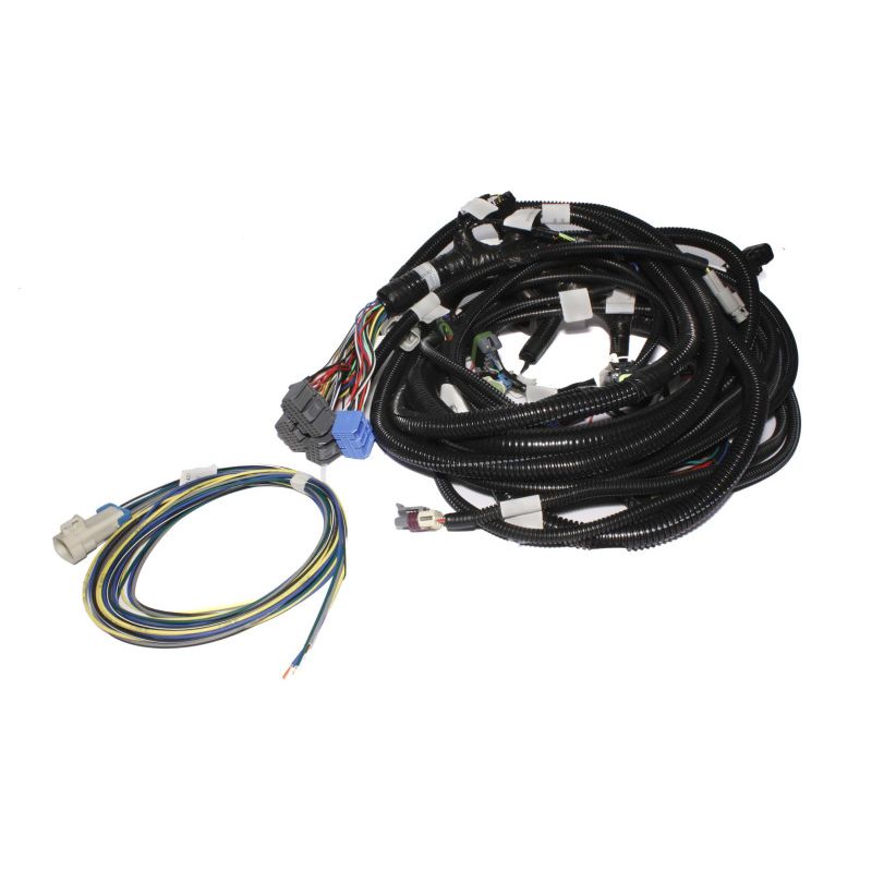 FAST Wiring Harness Main LS1LS2L