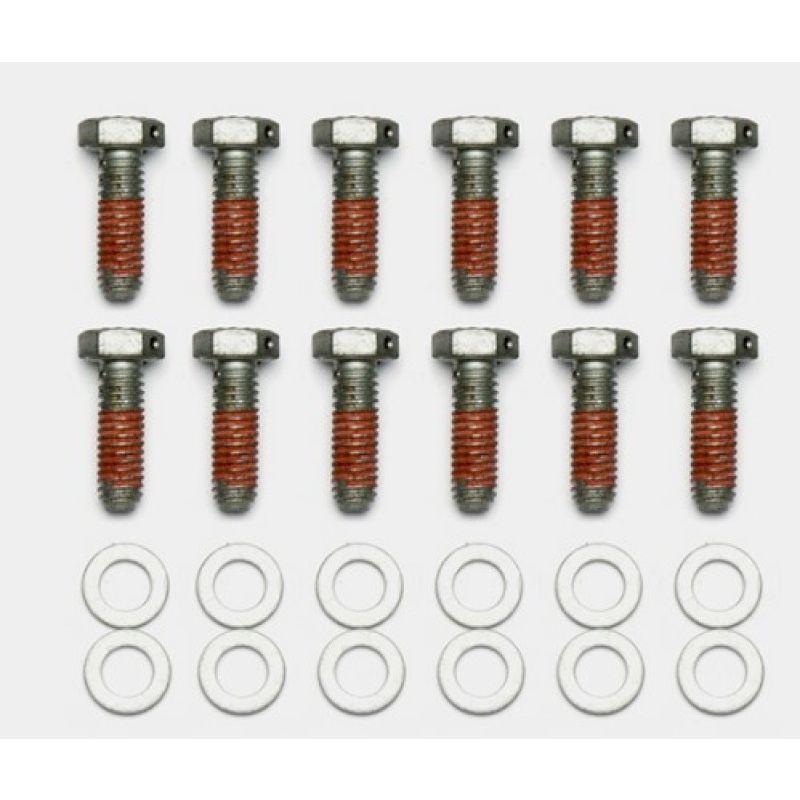 Wilwood 230-14086 Bolt Kit - 5/16-18 x 1.00 LG - 12 pk