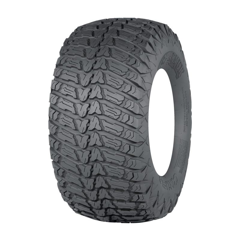 Carlisle 20x10.00-10 Car Turf Armor
