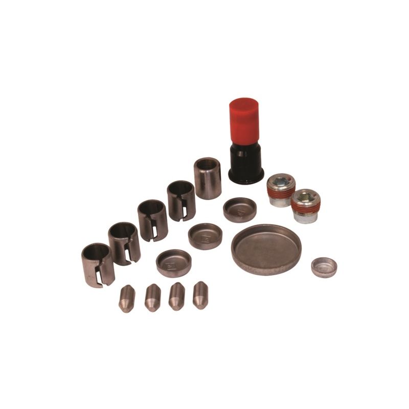 FORD FRDM6026-A46 Plug & Dowel Kit 4.6L Aluminum Blocks