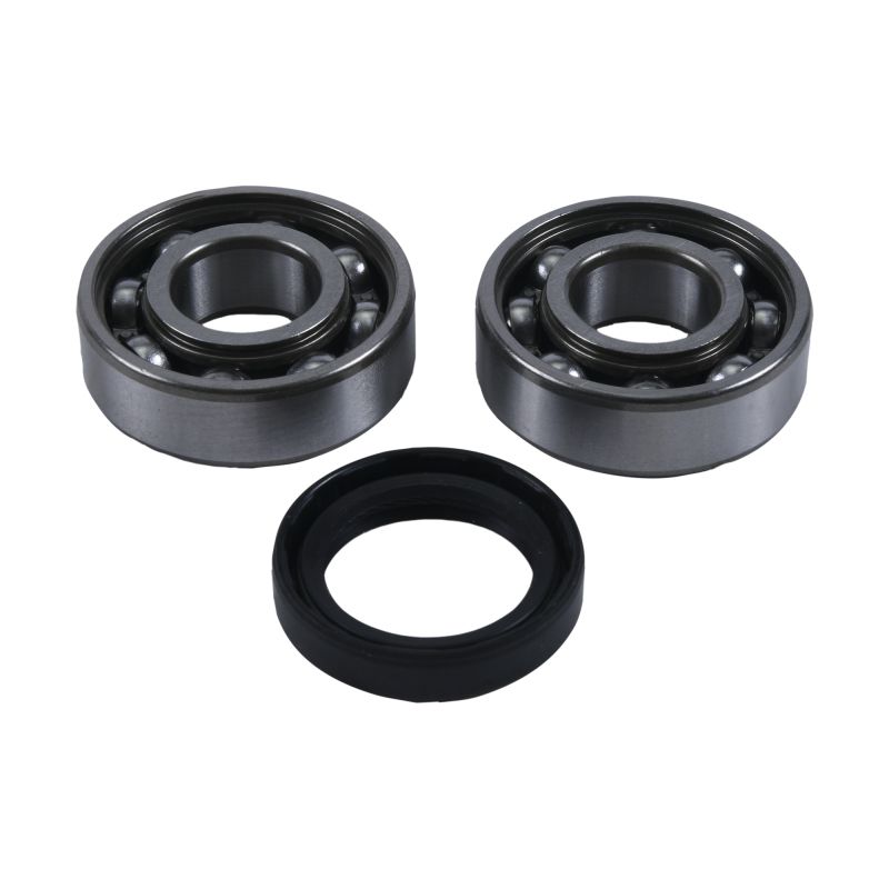 Hot Rods HR00057 00-06 TRX 350 FE/00-06 TRX 350 FM/00-06 TRX 350 TE Counter Balancer Kit