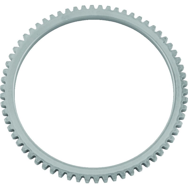 TwinPower 492875 Twin Power 65-E84 Big Twin Starter Ring Gear Replaces H-D 33163-65B 66 Teeth