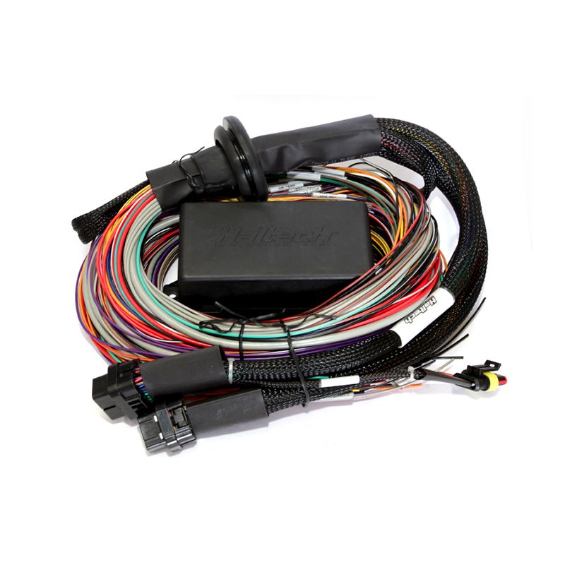 Haltech HT-141304 Elite 2500/2500 T 8ft Premium Universal Wire-In Harness