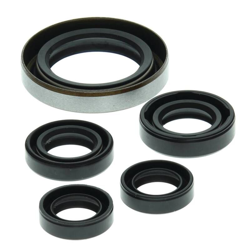 Vertex Pistons 822249 Vertex Gaskets 06-07 Polaris Outlaw 500 Oil Seal Kit
