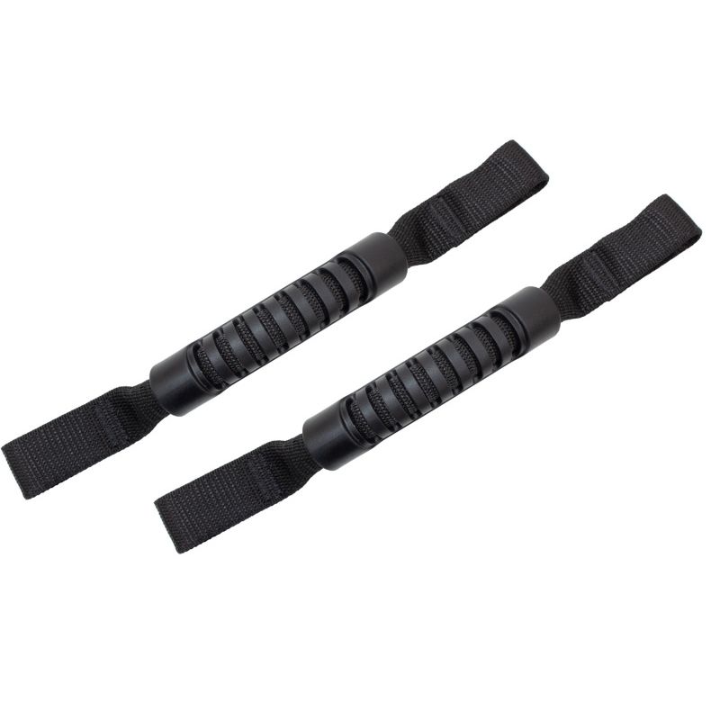 Fishbone Offroad Grab Handles for Head Rest