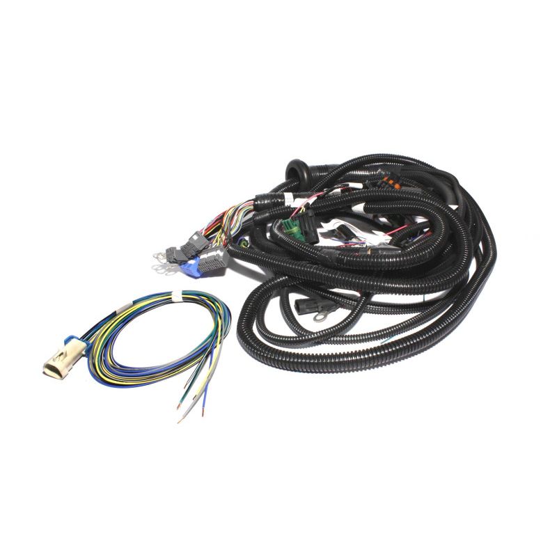 FAST Wiring Harness FAST Main LT1