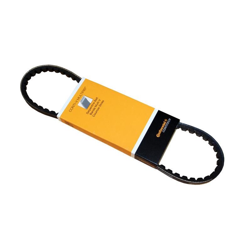 CONTITECH 10X695 Import Automotive V-Belt