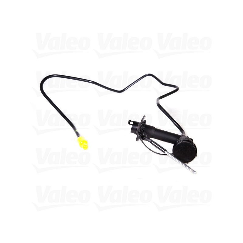 Valeo 804911 1993-1996 Ford F-150 Pre filled Master 4.9L