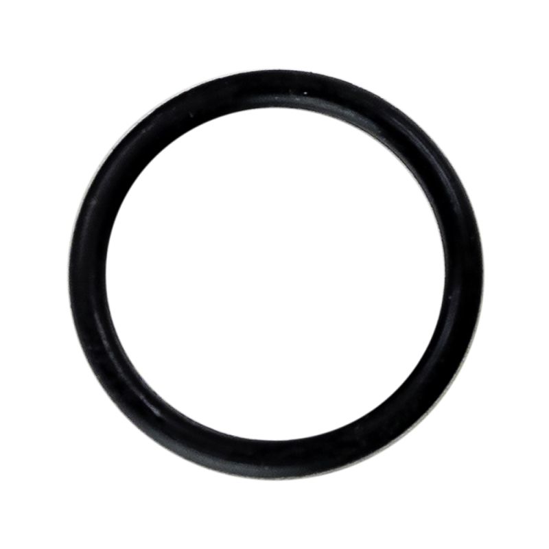 Moroso 23811 Replacement O-Ring (Replacement for 297006)