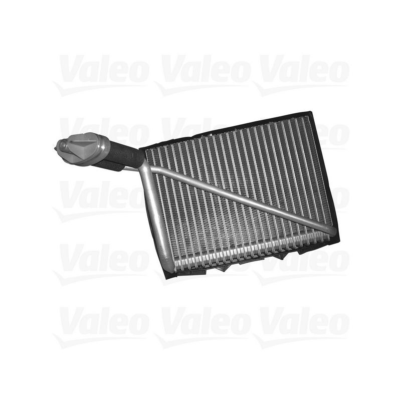 Valeo 817521 1998-2005 Volkswagen Passat Evaporator
