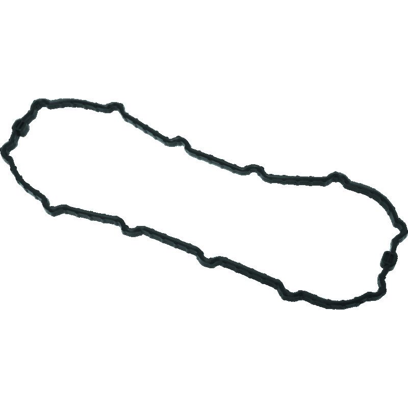 TwinPower 046168 Twin Power 04-13 Dyna Models Fuel Pump Plate Seal Viton Replaces H-D 75245-04A