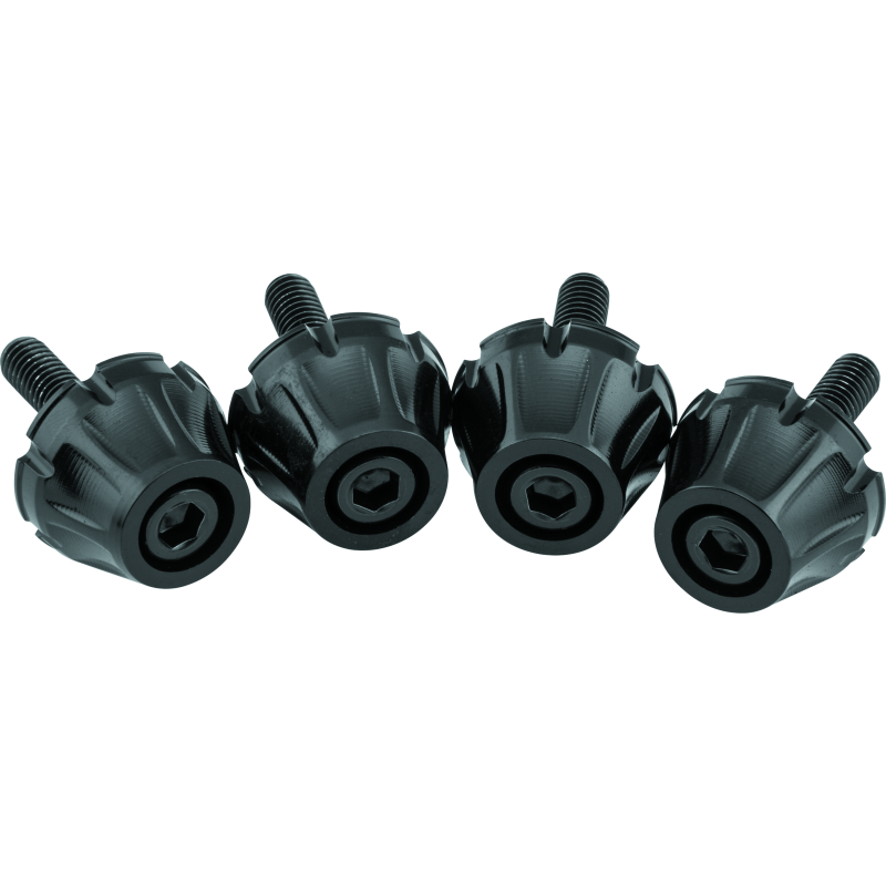 Kuryakyn 5722 Windshield Screws FLTR Black