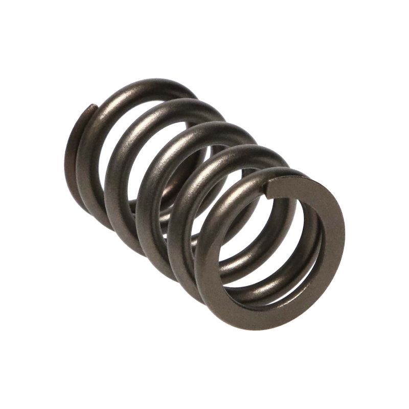 Manley Performance 22190-16 Manley Dodge SRT-4 16pc Valve Springs