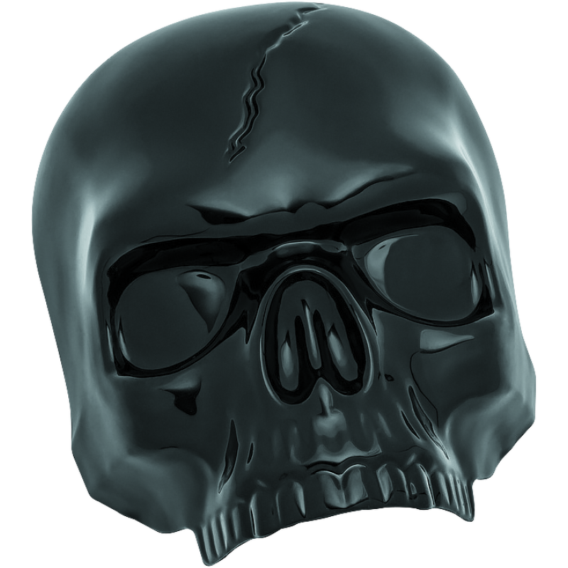 Kuryakyn 5731 Skull Horn Cover Black