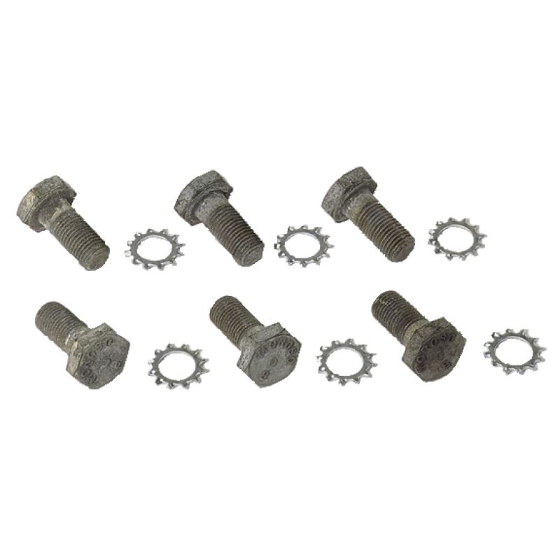 MOROSO MOR38755 12 Pt Flywheel Bolts