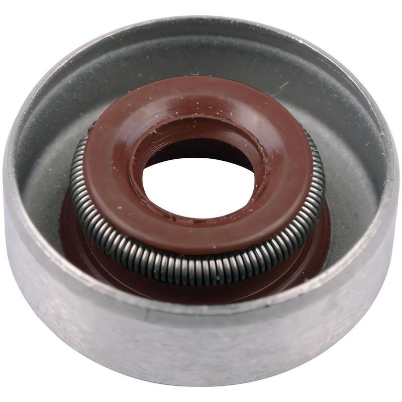 SKF 4923 SKF Seal 4923