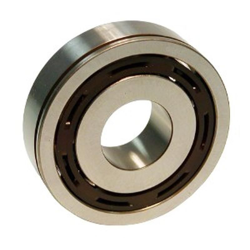SKF 6305-NSP19 SKF Bearing 6305-NSP19