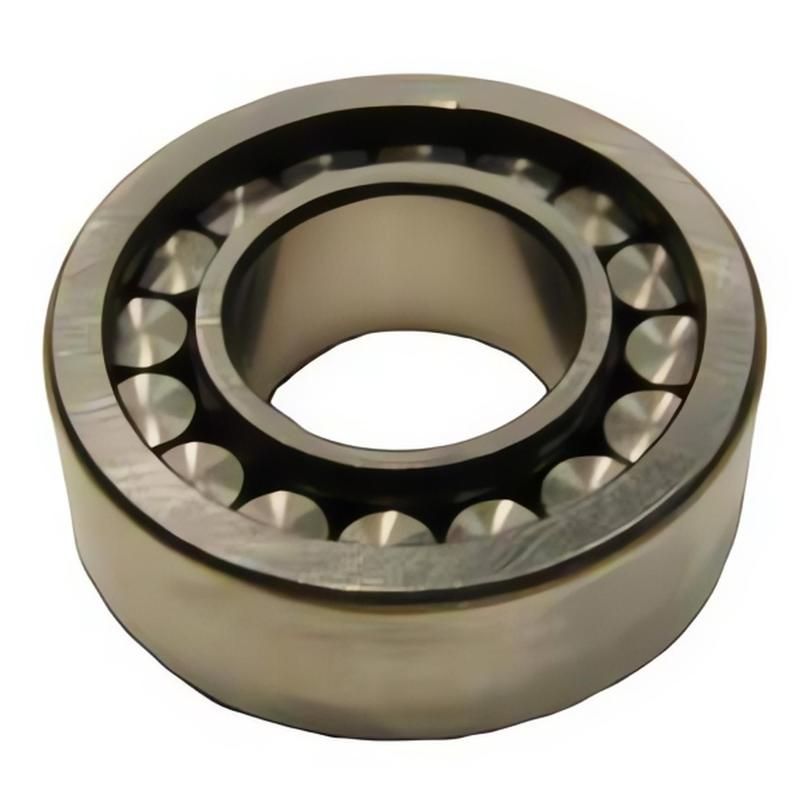 SKF MS1309-REX Cylindrical Roller Bearing