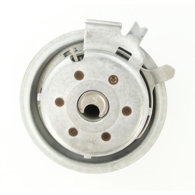 SKF TBT11113 SKF Tensioner TBT11113 For Volkswagen