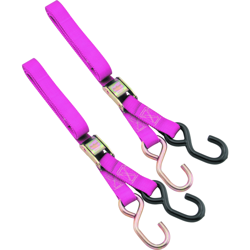 BikeMaster 100503 1in Tiedown - Pink