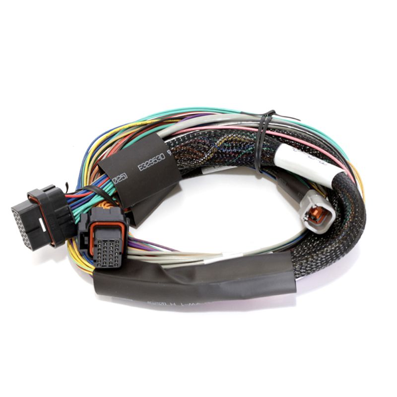 Haltech HT-141302 Elite 2500 8ft Basic Universal Wire-In Harness (No Relays or Fuses)