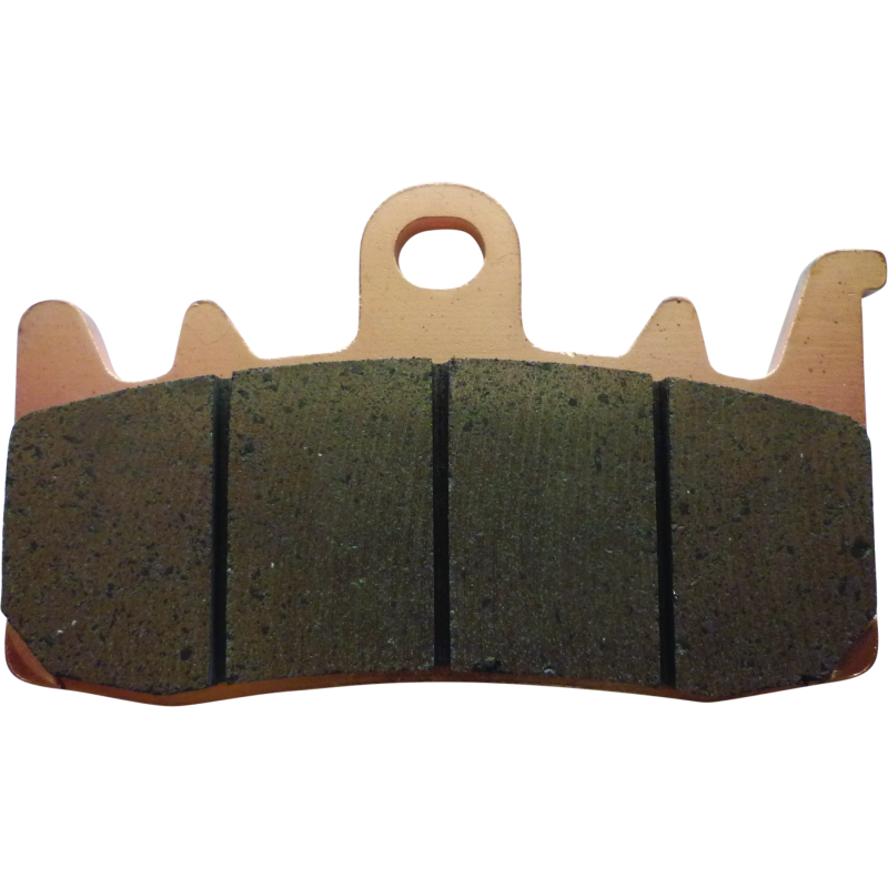 TwinPower 597029 Twin Power 21-Up Pan America and Sportster S Sintered Brake Pads Replaces H-D 41300227 Front