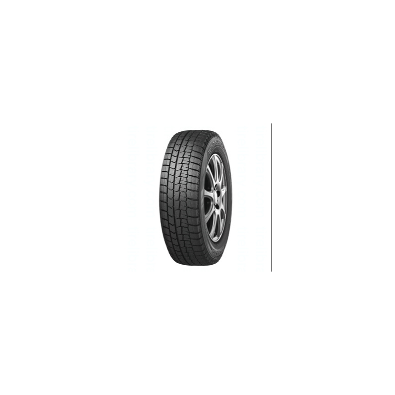 Dunlop 266016614 Dunlop Winter Maxx 2 205/65r16