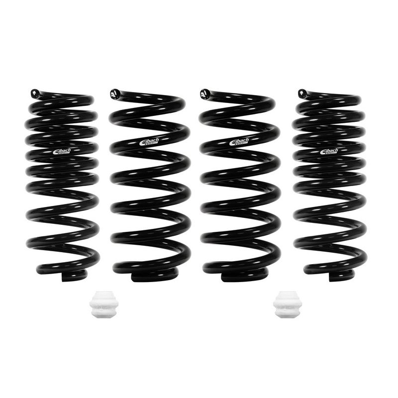 Eibach Springs E10-51-019-01-22 PRO-KIT Performance Springs (Set of 4 Springs)