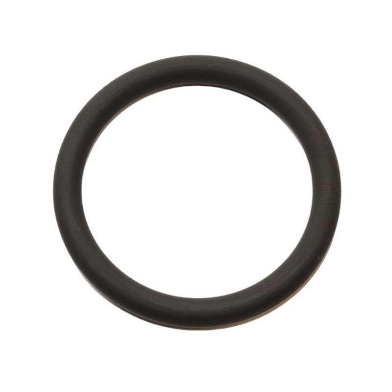 Elring 199.310 Seal Ring
