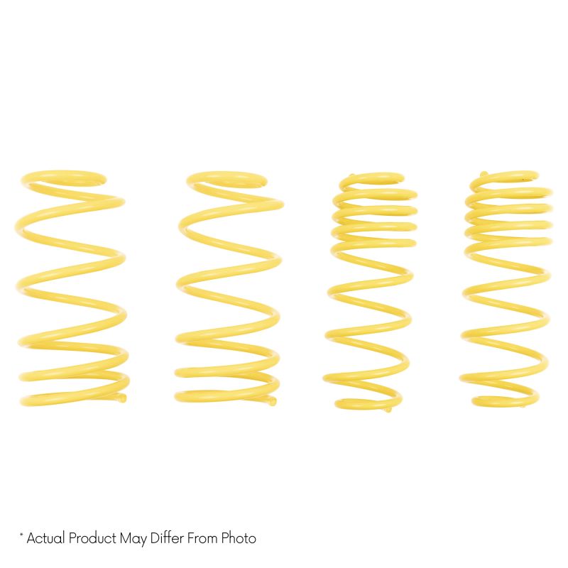 Suspension (68730 ST MUSCLE CAR SPRING)