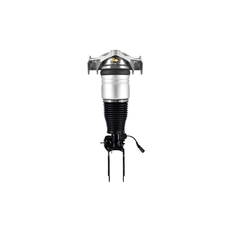 FCS Struts 99011 Electronic Air Suspension Strut Assembly