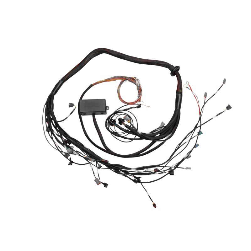 Haltech HT-130318 Elite 2000/2500 Terminated Engine Harness