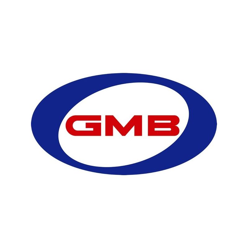 GMB 530-6012 Fuel Pump and Sender Assembly