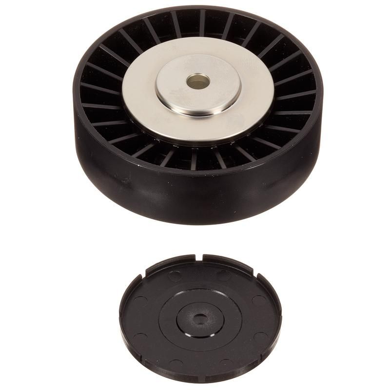 INA FP01691 INA BDC FEAD pulley