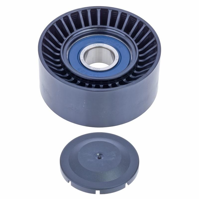 INA FP08731 INA BDC FEAD tensioner pulley