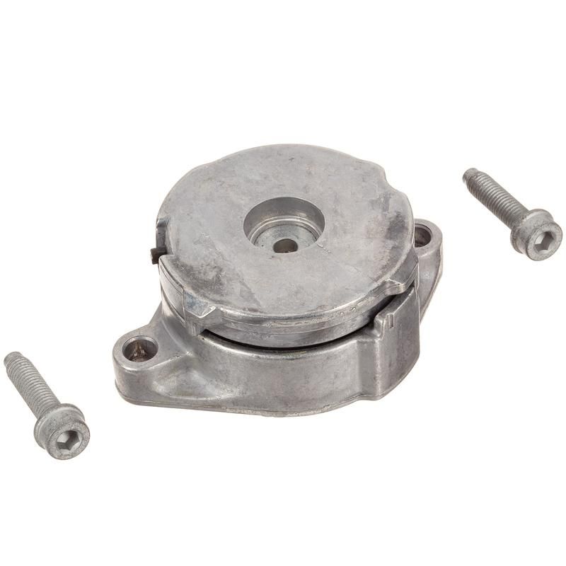 INA FT30075 INA BDC FEAD tensioner